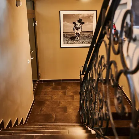 Evi Via We Rent Appartement