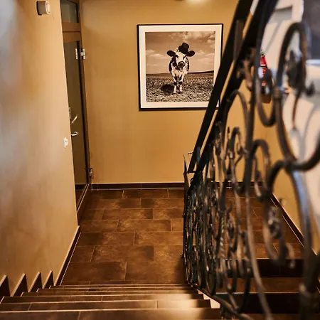 Evi Via We Rent 아파트