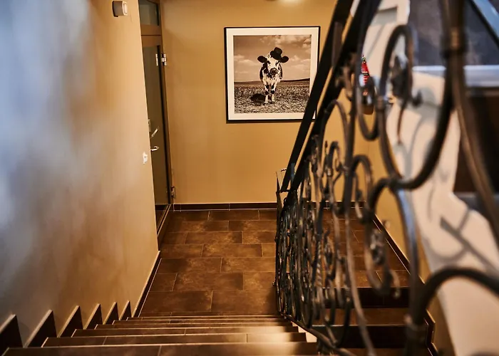 Evi Via We Rent Appartement